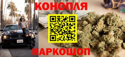 хмурый Новокубанск