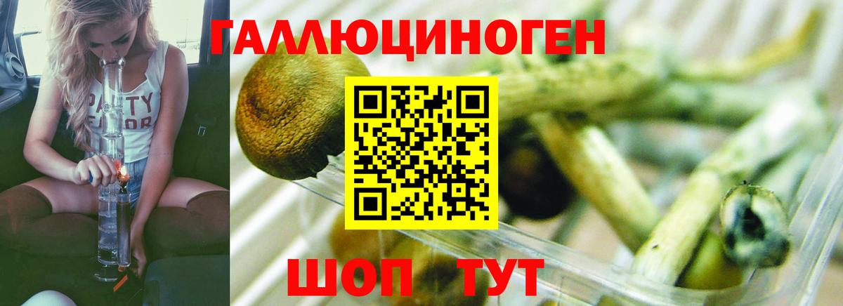 где купить наркоту  Вход с VPN  Сыктывкар  Псилоцибиновые грибы Cubensis 